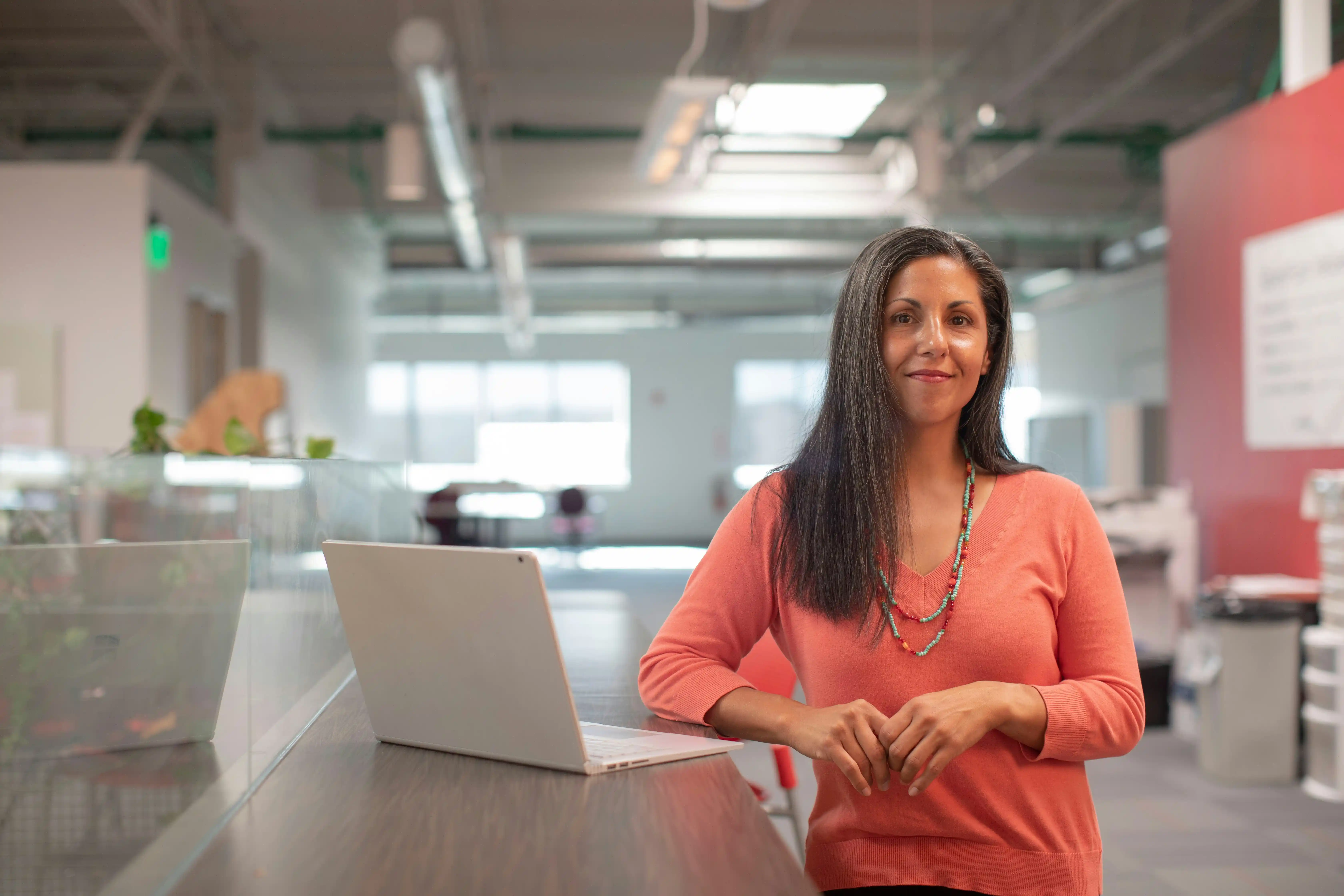 The Entrepreneur and Business Owner